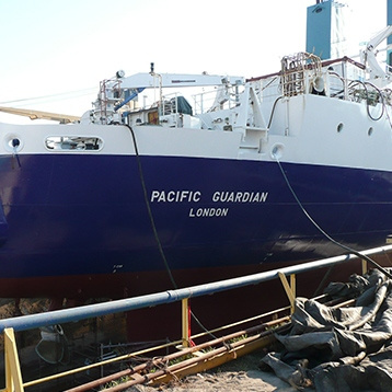 Pacific Guardian